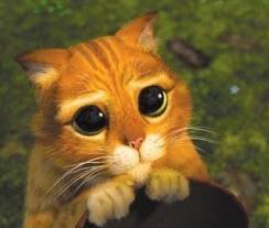 Baby Face Bias Puss'n Boots