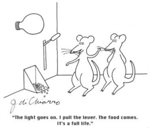 OperantConditioning2