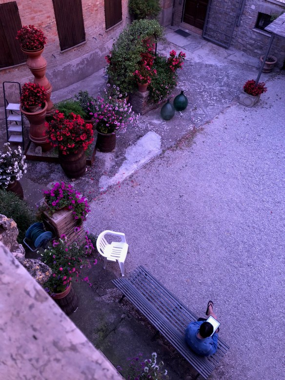 la romita pics - 180