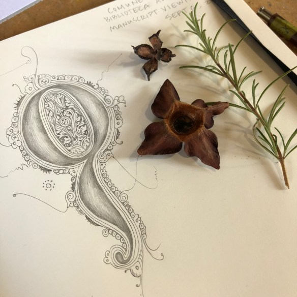 la romita pics - 75.jpg