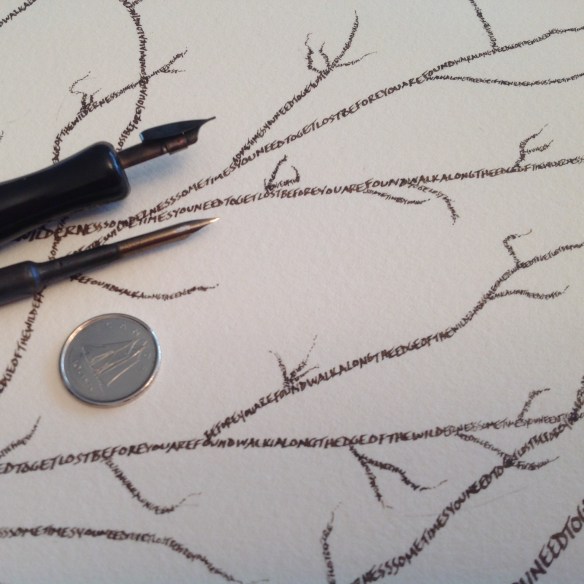 Close-up of Walk Along the Edge II