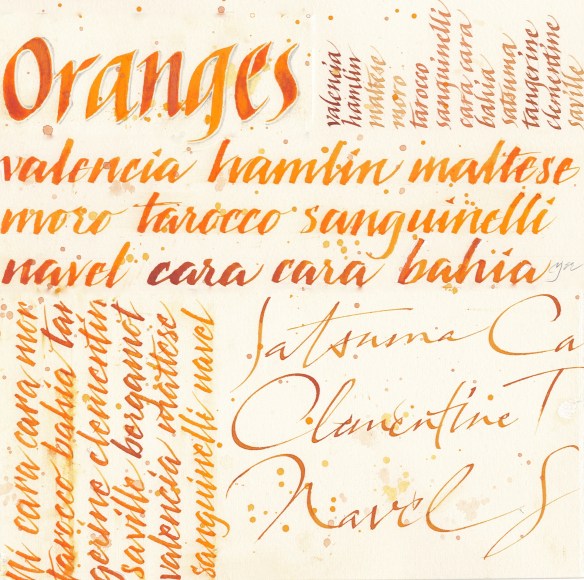 Names of orange varieties lettered using broad-edge and folded pens dipped in watercolour
