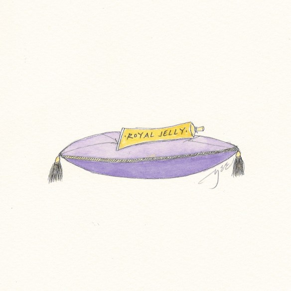 30-2 Pangram Jelly (1)