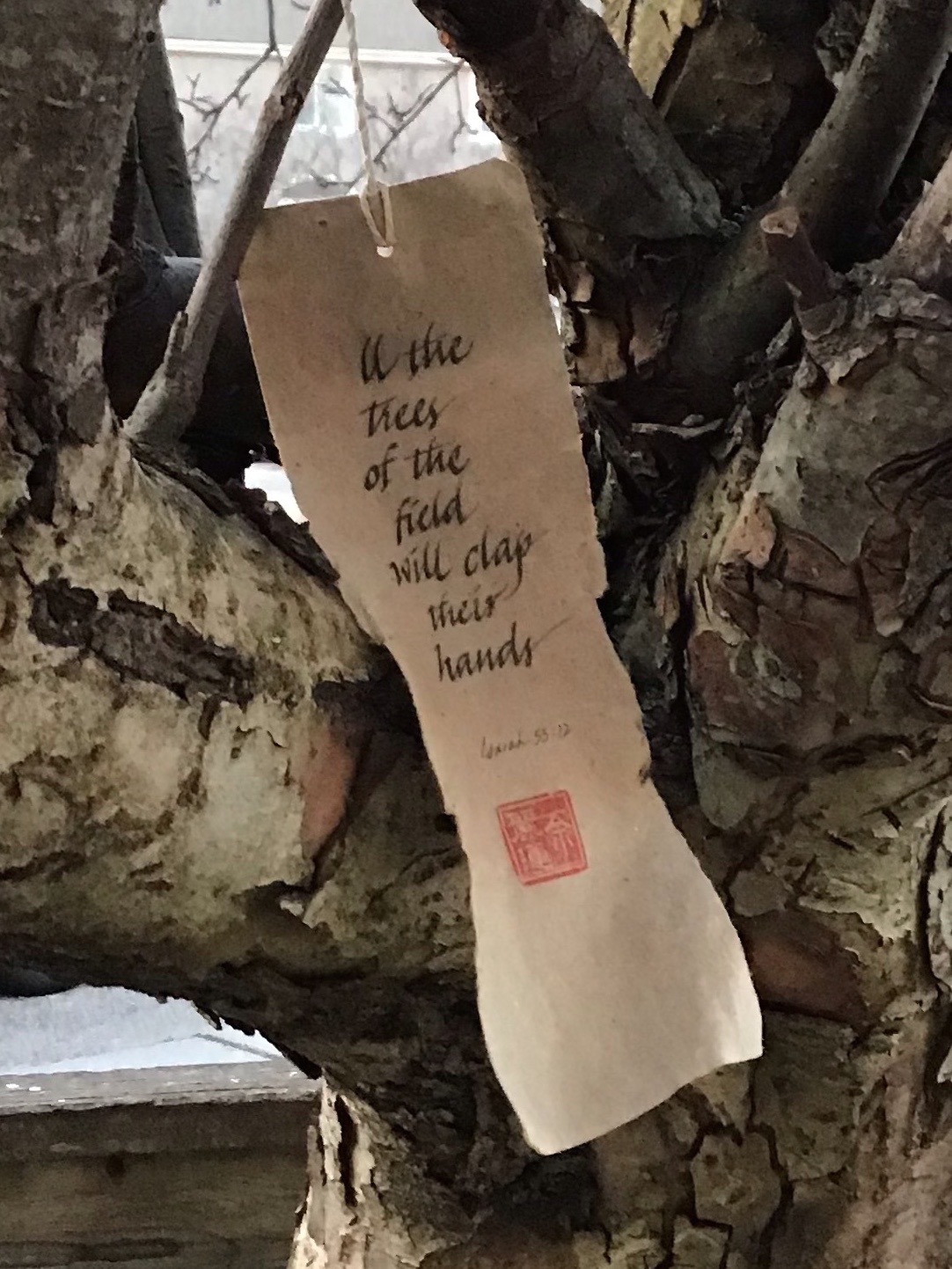 Weathergram All the trees of the field will clap their hands. Isaiah 55:12