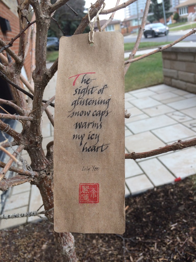 Weathergram placed at front entrance, December 2020