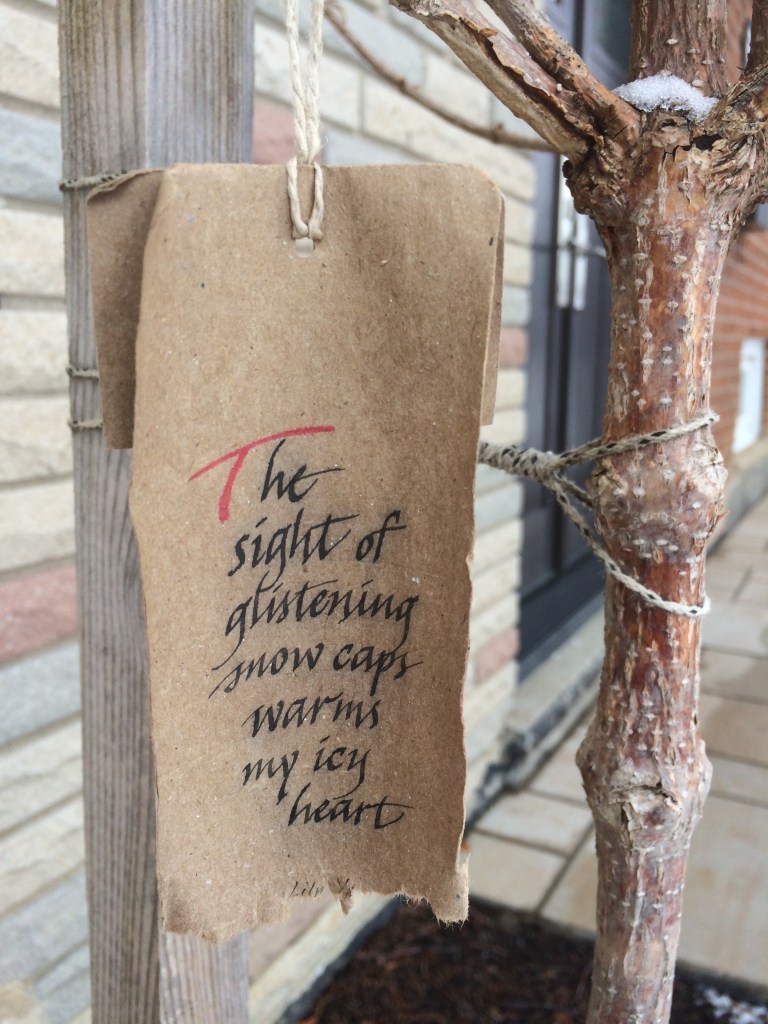 Weathergram The sight of glistening snow caps warms my icy heart. Lily Yee