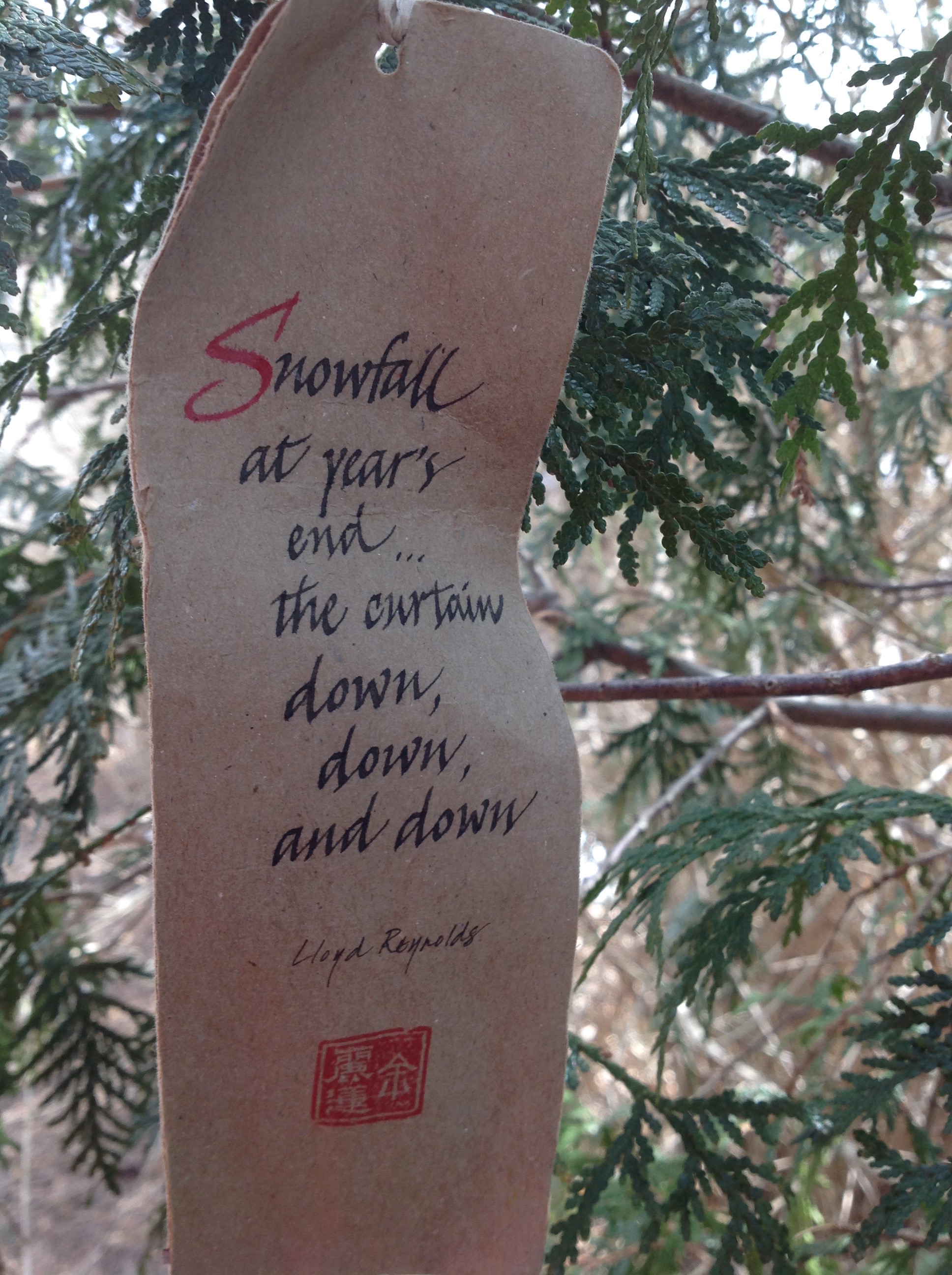 Weathergram Snowfall at year's end the curtain...down, down, and down. Lloyd Reynolds