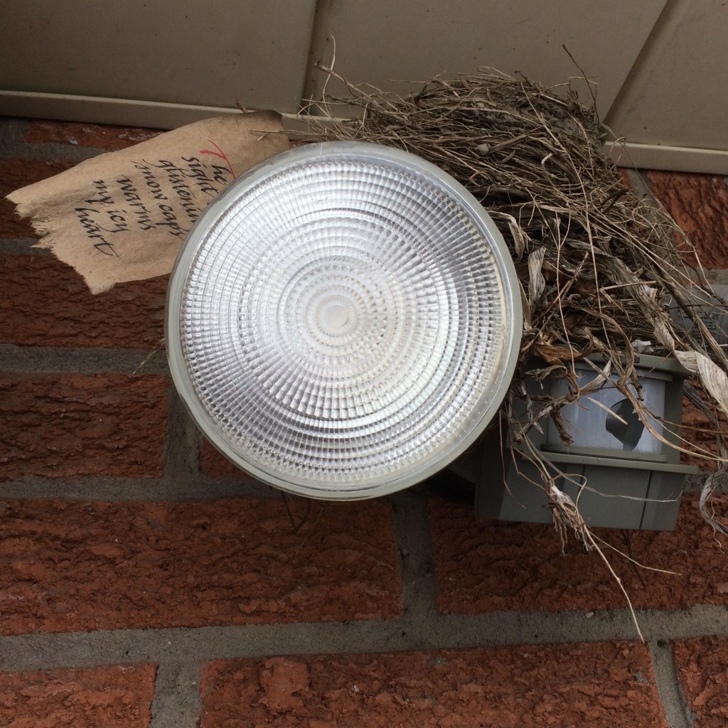 Weathergram integrated into bird's nest.