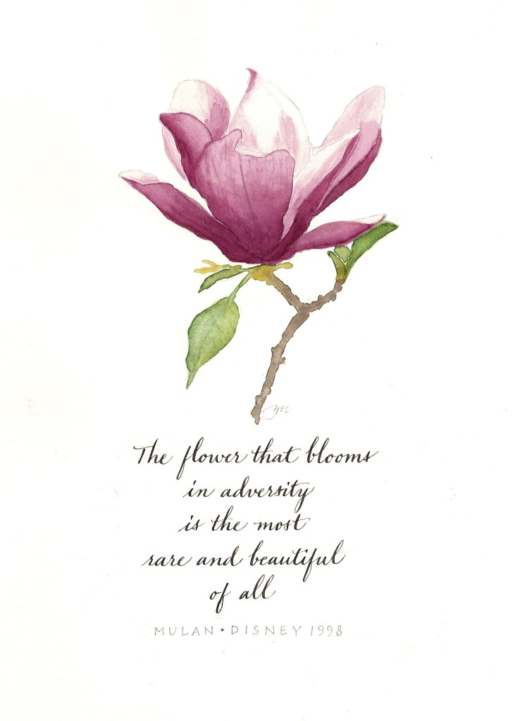 Image of a magnolia. "The flower that blooms in adversity is the most rare and beautiful of all." Mulan (Disney 1998)