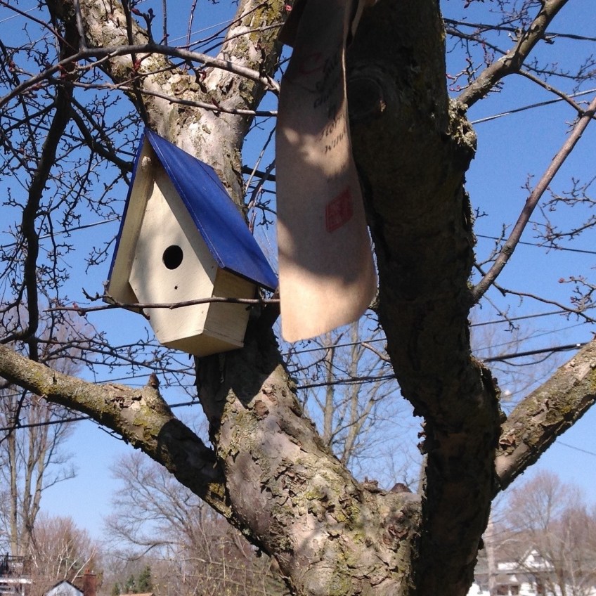 Weathergram hangs out by birdhouse