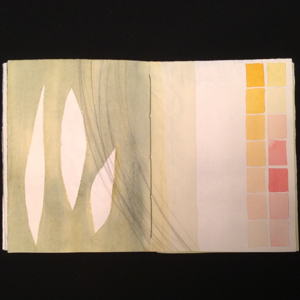 Watercolour palette and graphite