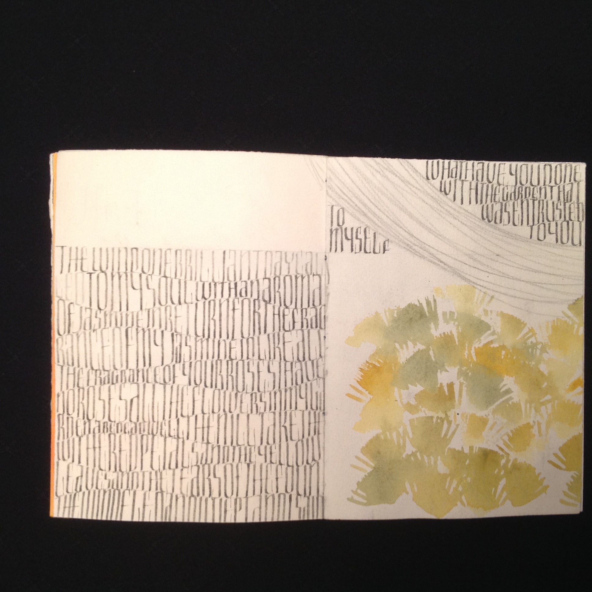 Watercolour, liquid graphite and broad-edge pen