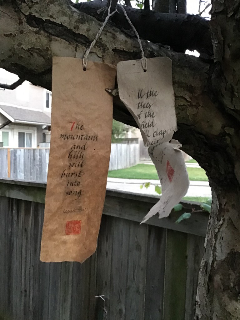 Libby nurtures a spring weathergram hung in March (left) and the original winter one hung in December.