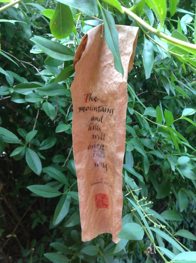 Nature added a little something to William and Sarah's weathergram