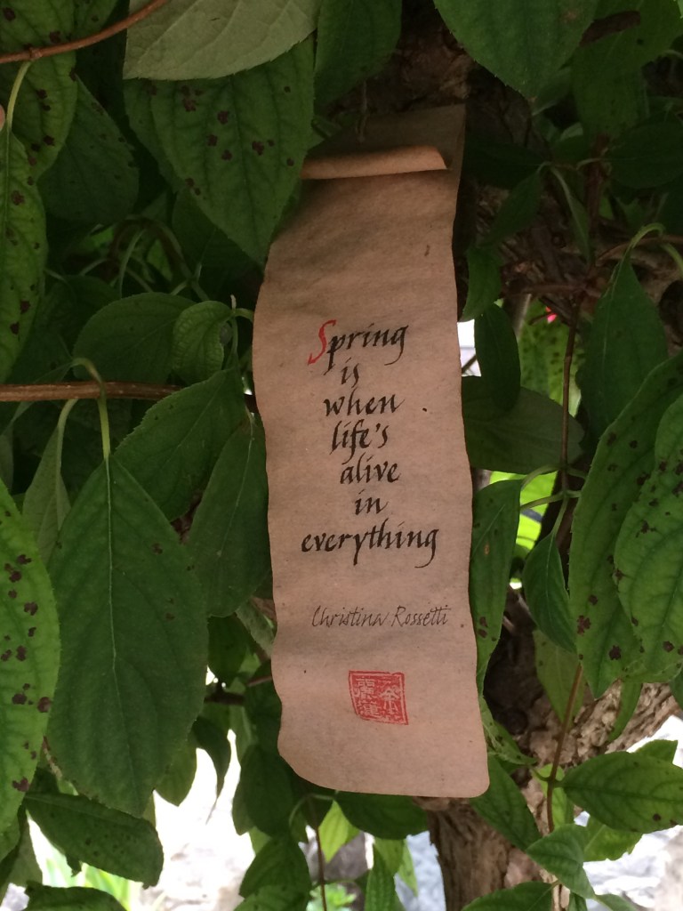 Claudia's weathergram