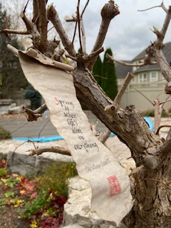 The hydrangea has now been pruned and the weathergram is still looking good after 8 months!