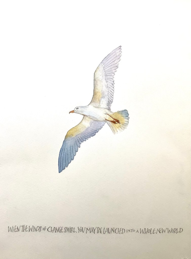 Watercolour painting of seagull. "When the winds of change swirl, you may be launched into a whole new world." LIly Yee-Sloan